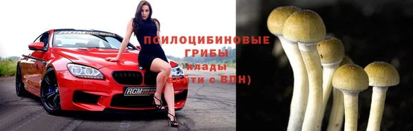 PSILOCYBIN Баксан