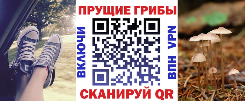 Псилоцибиновые грибы MAGIC MUSHROOMS  маркетплейс какой сайт  Сергач  цена наркотик  OMG сайт 